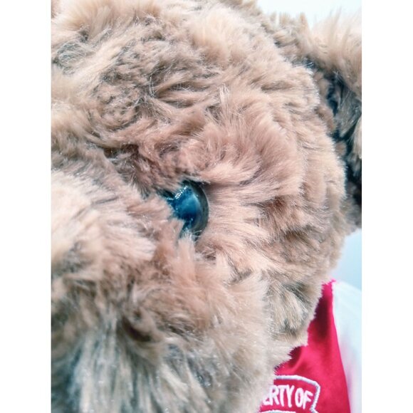 Love U XXL Dan Dee Bear Teddy Brown Plush Varsity Jacket Valentines Gift 15" - Picture 3 of 15